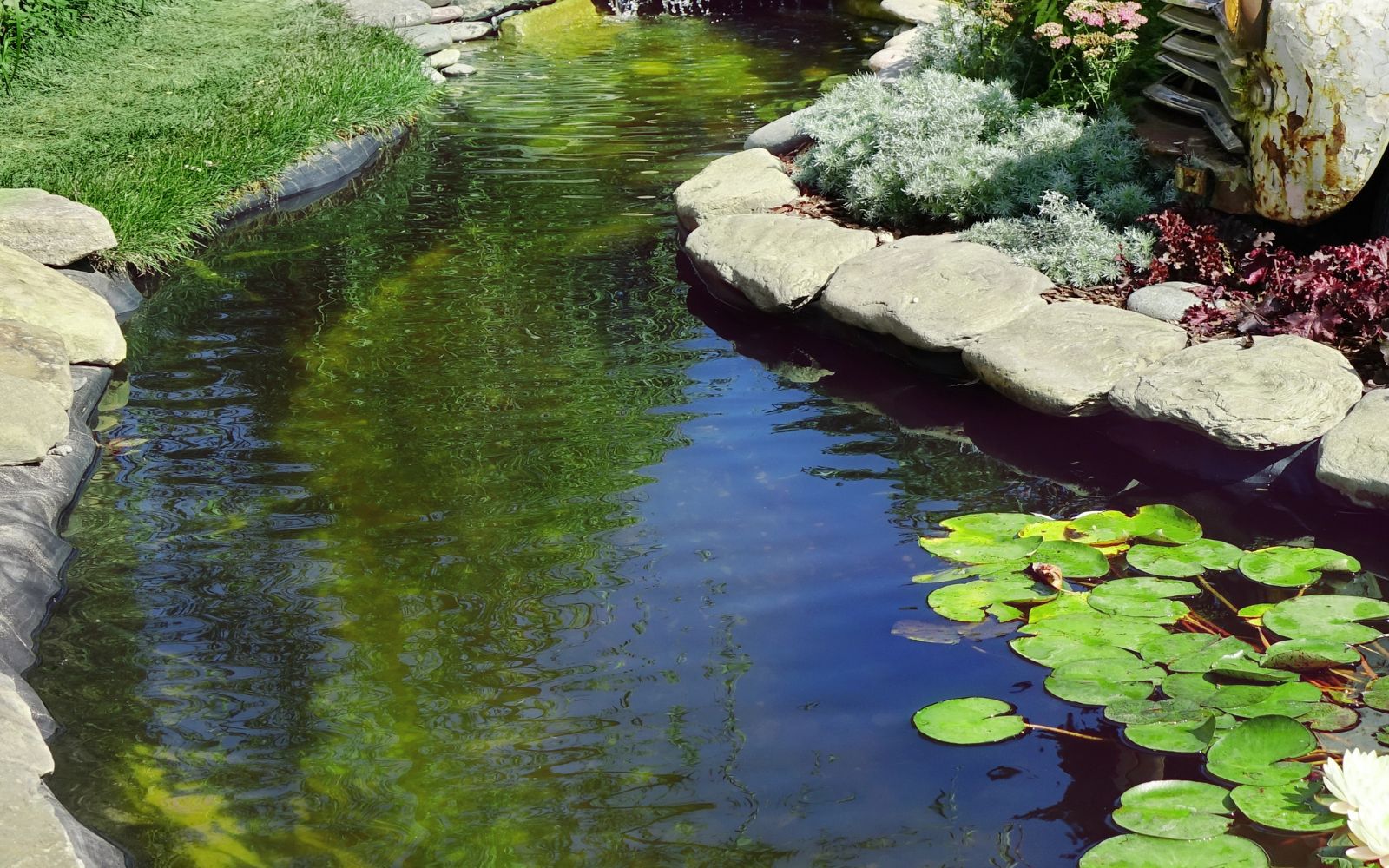 Dry creek bed with rocks and vegetation, illustrating natural surface drainage features on property