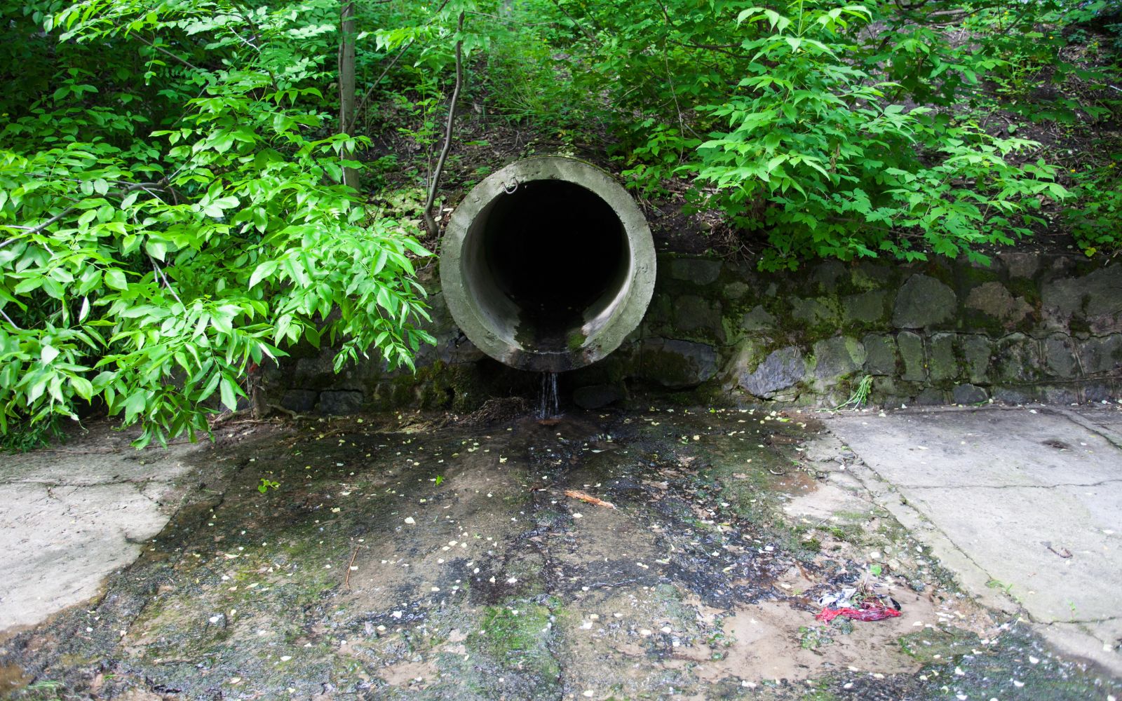 A circular concrete culvert pipe set into an embankment, with water flowing out from the pipe’s dark interior onto a paved surface below, surrounded by green foliage and a stone retaining wall