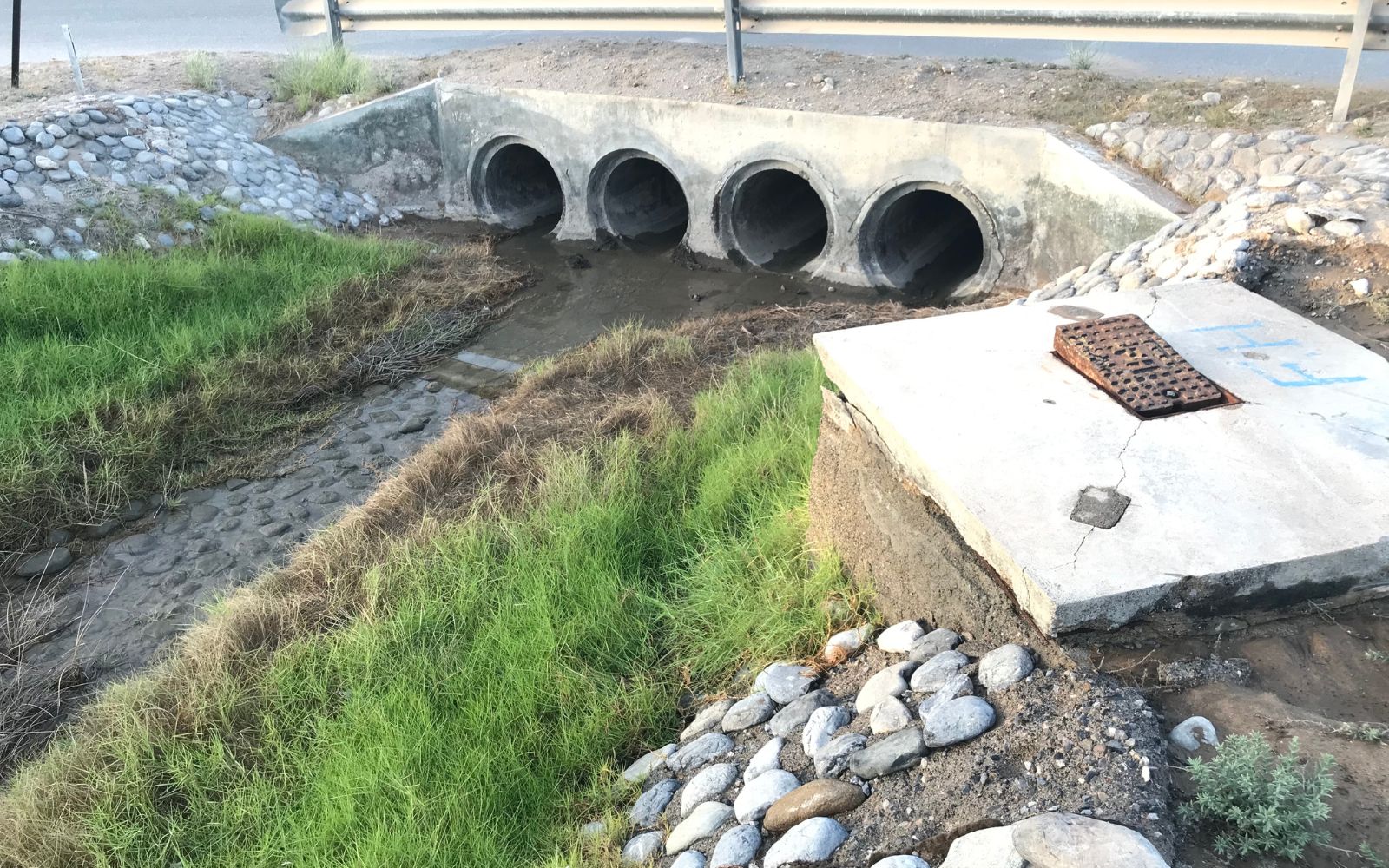 Four round concrete culvert pipes set side by side under a roadway, forming a water drainage outlet.