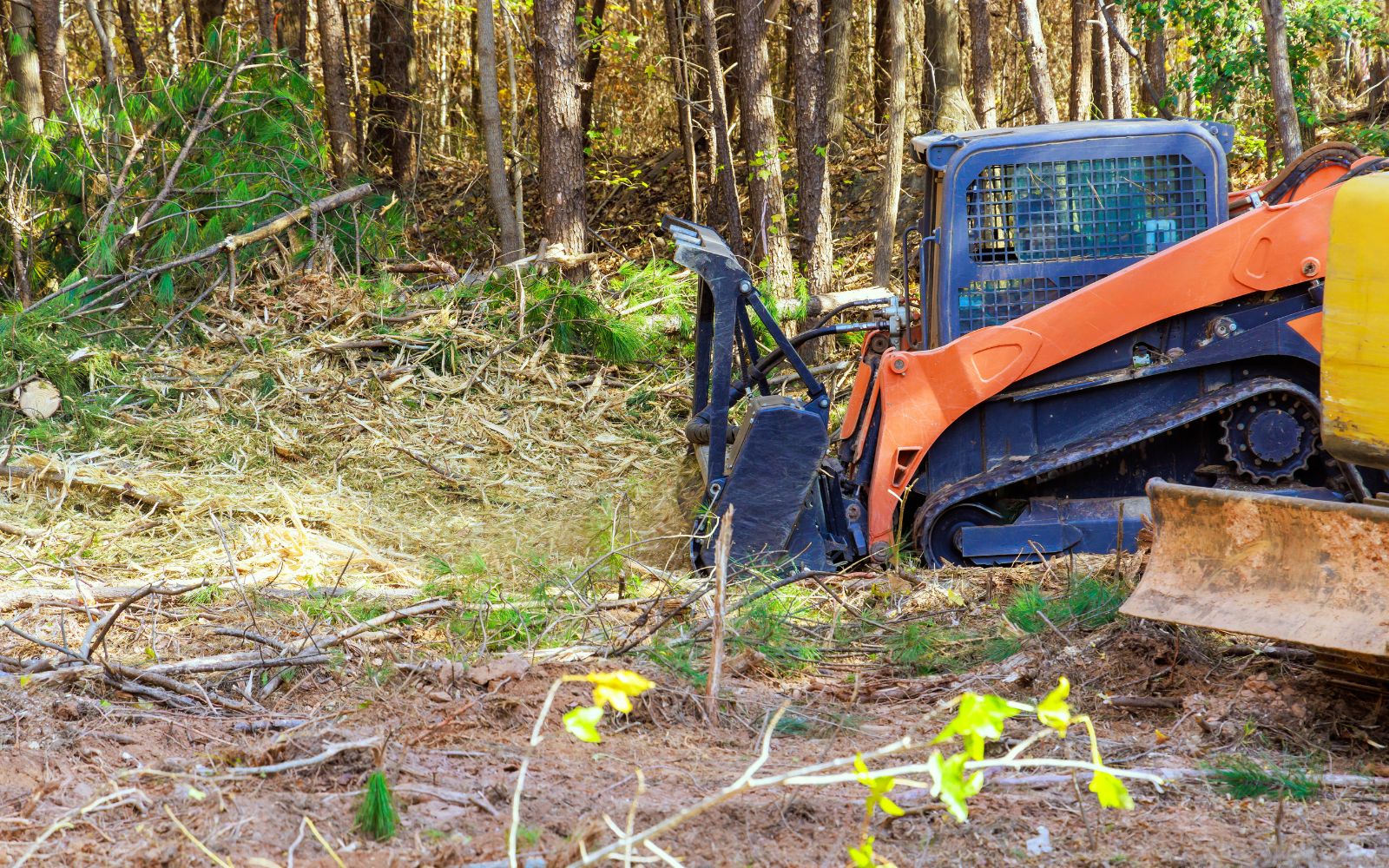 Forestry mulching equipment clearing dense brush and trees on a wooded property for land management
