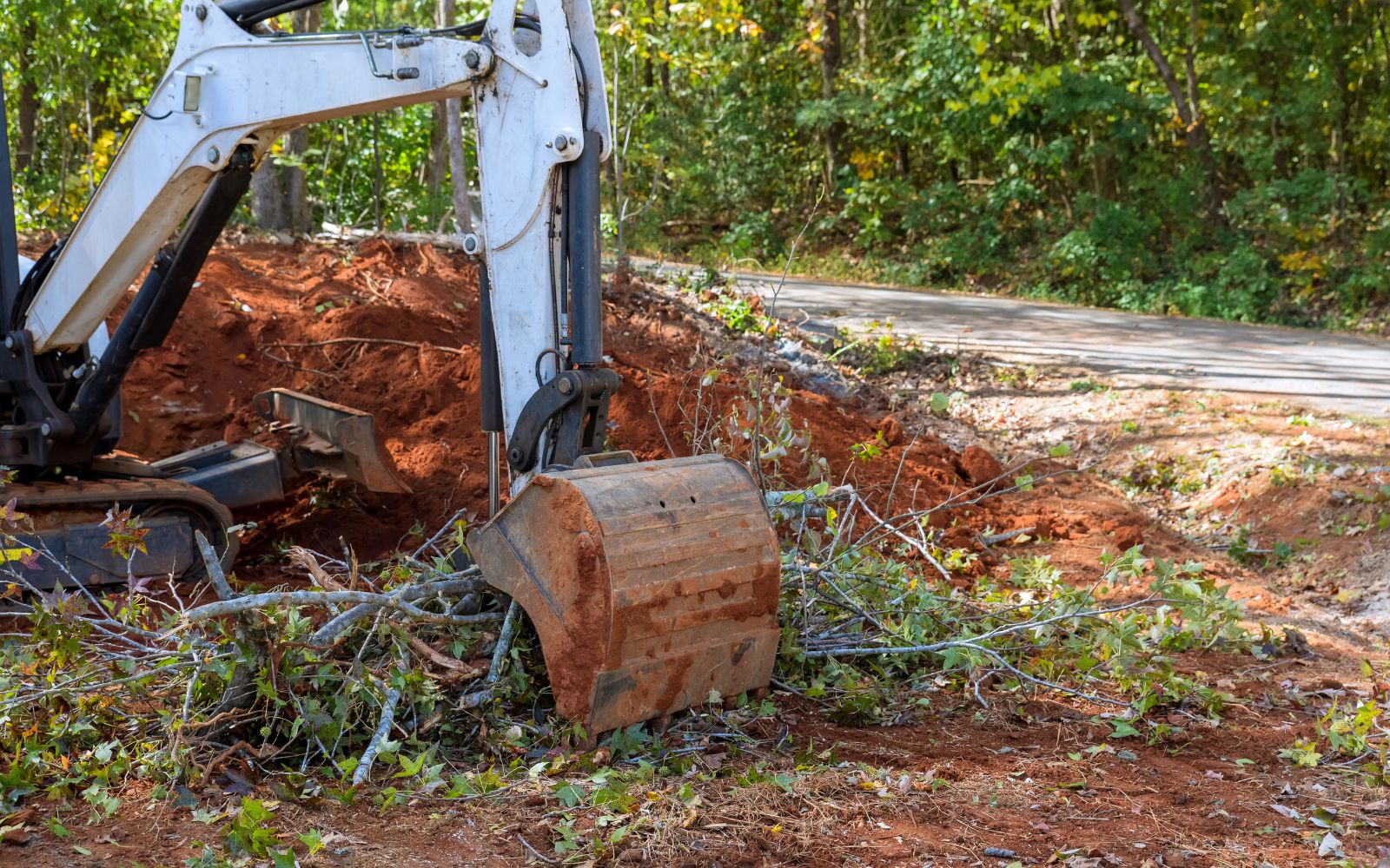 Professional land clearing removing dense vegetation with machinery