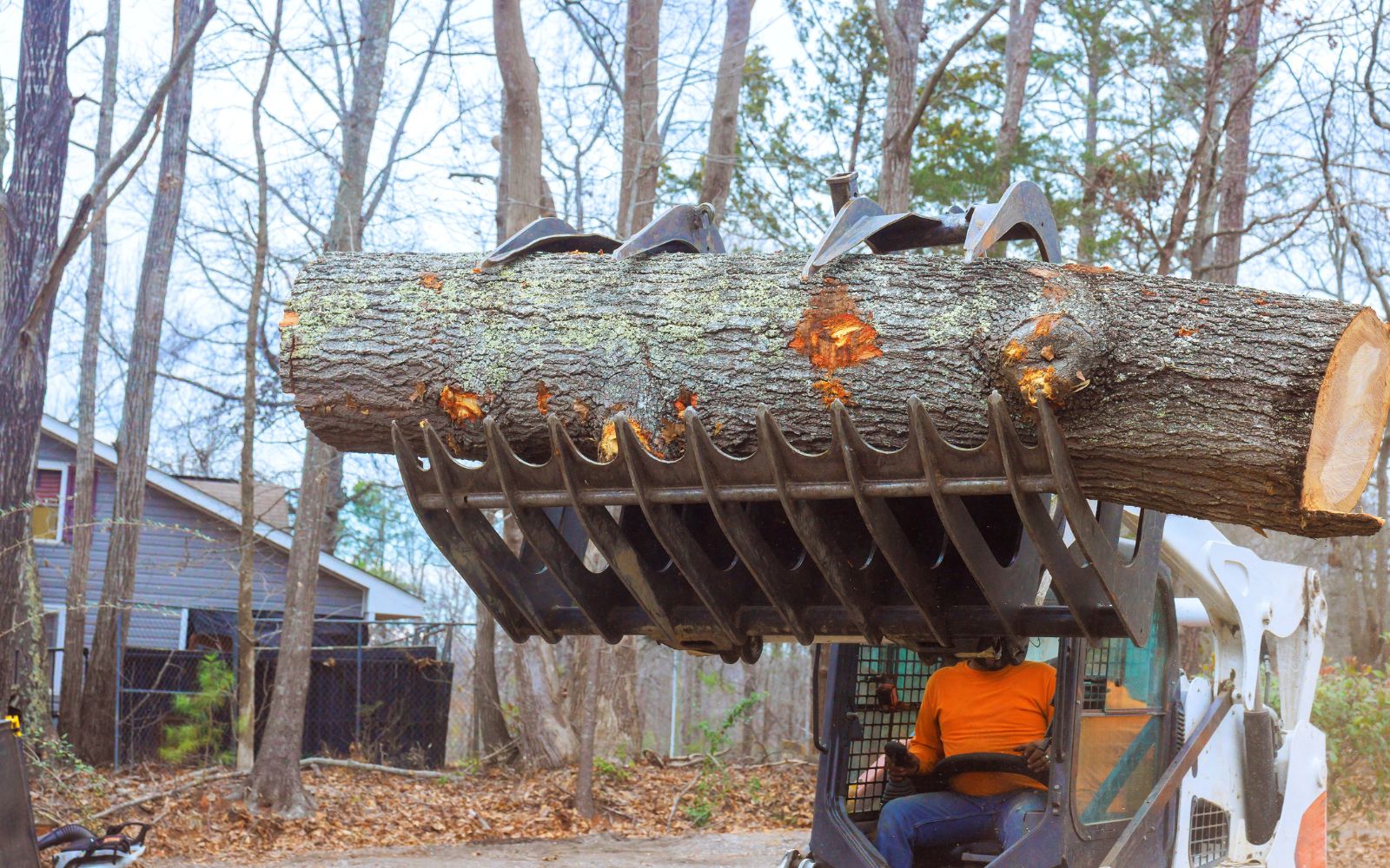 Heavy machinery performing land clearing by removing trees and brush on wooded property