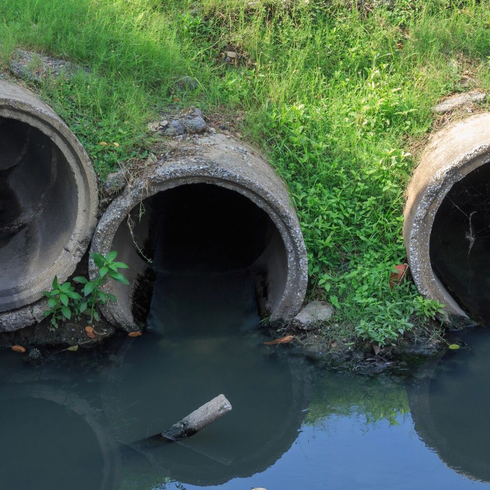 Three large round concrete culvert pipes embedded in a grassy embankment, with dark openings partially above a shallow body of water; green vegetation surrounds the pipes