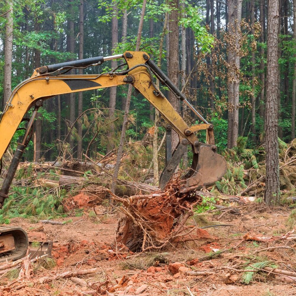 Forestry mulching machine clearing overgrown brush and vegetation on a wooded property