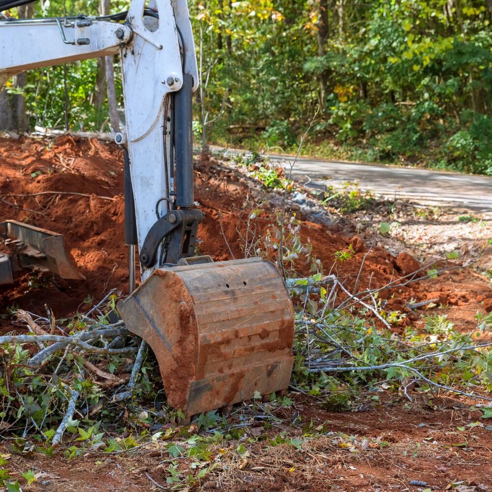 Professional land clearing removing dense vegetation with machinery