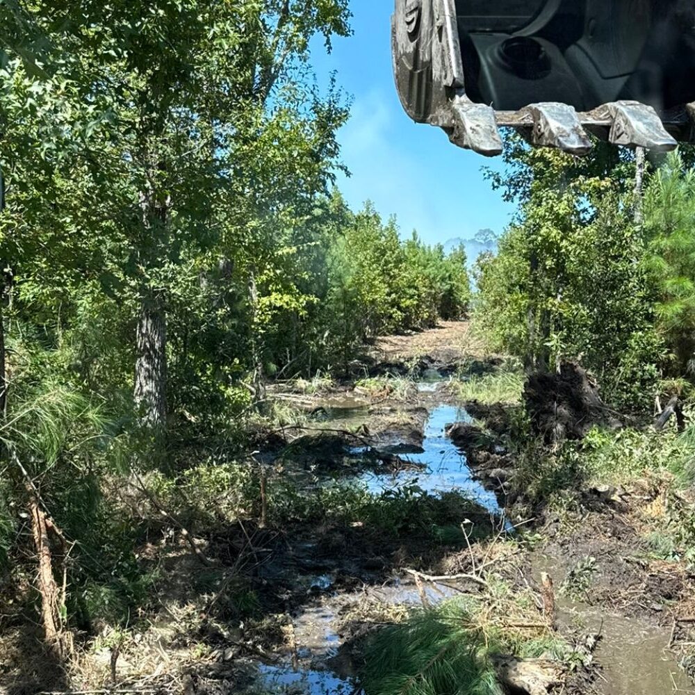 Muddy forest clearing with a rough, water-filled path cutting through trees and vegetation, and the bucket of a construction excavator visible at the top right edge, with part of a vehicle mirror on the left
